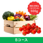 とまと様　野菜セット Bコース_季節の野菜＆トマト