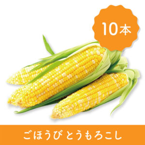 tomorokoshi10